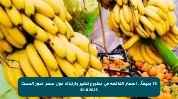 35 جنيهاً.. أسعار الفاكهة في مطروح تتغير وارتباك حول سعر الموز السبت 30-8-2025